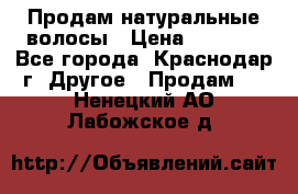 Продам натуральные волосы › Цена ­ 3 000 - Все города, Краснодар г. Другое » Продам   . Ненецкий АО,Лабожское д.